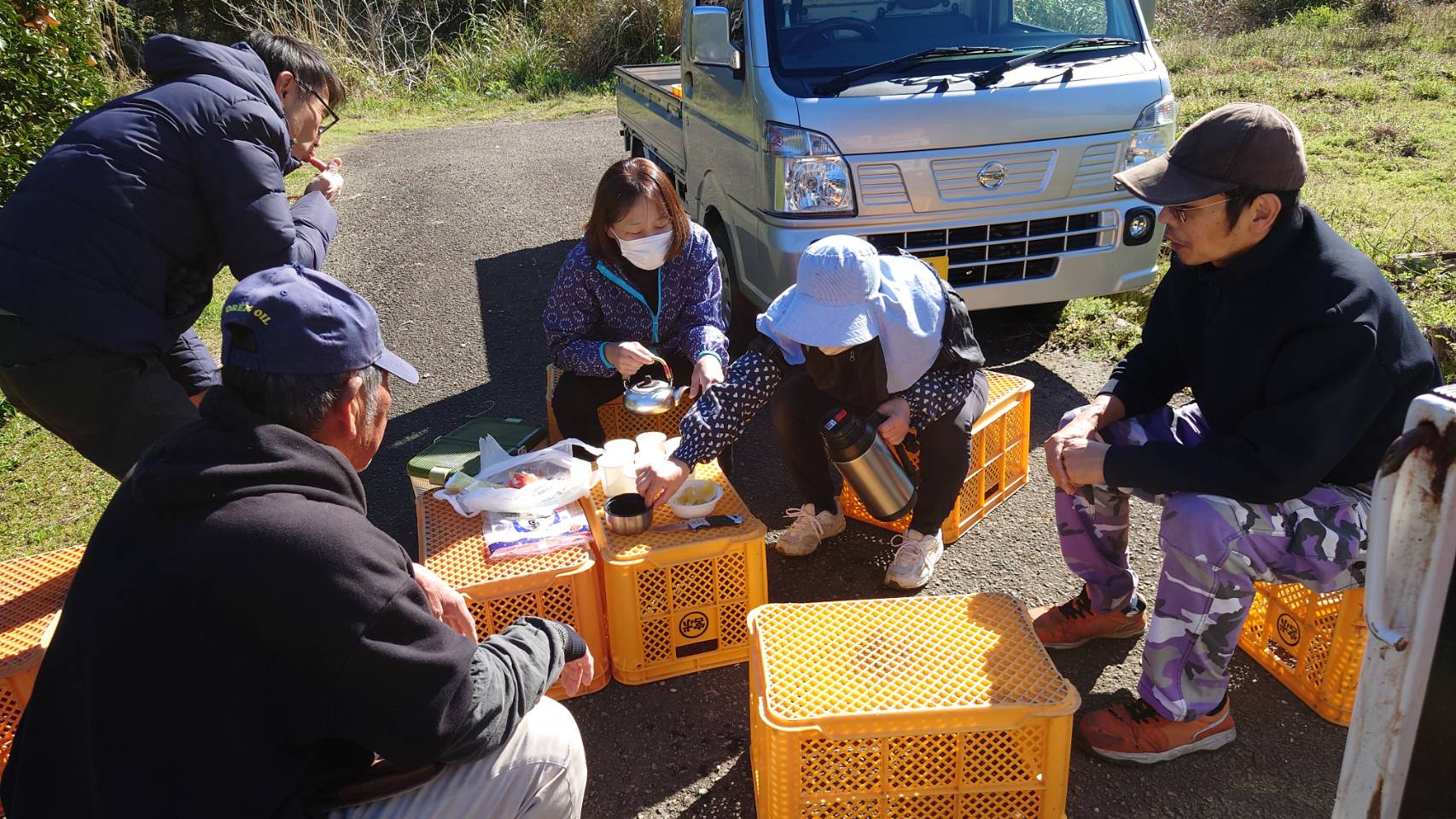 日向夏の収穫が始まりました - 外山柑橘園